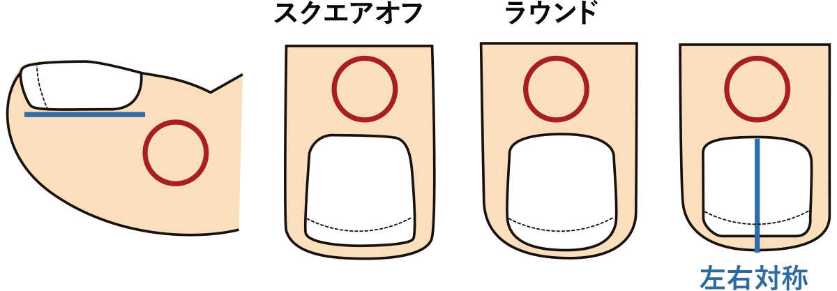正しい爪切りの形